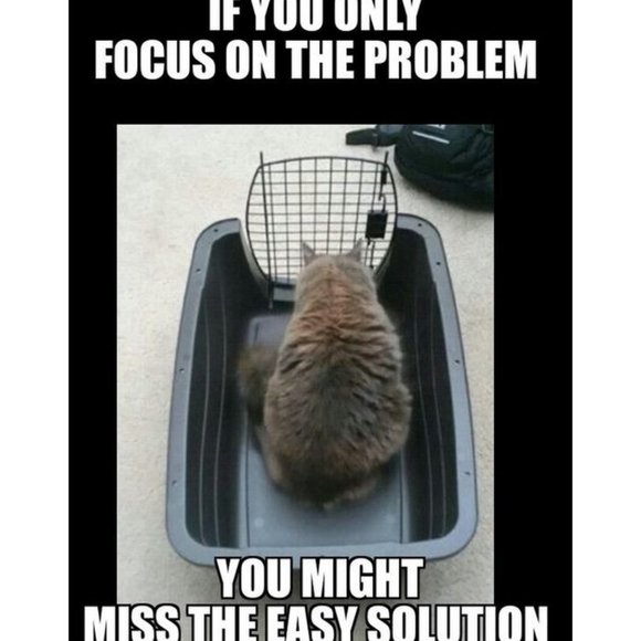 Welcome to the Robin's Nest - Picture 11 of 16